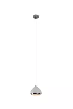 Светильник потолочный с подвесом "Rider", одие плафон, метал/стекло, Е14, 230V,  белый купить с доставкой по России